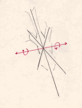 THE SINGLE PERPENDICULAR AXIS OF A SNOWFLAKE