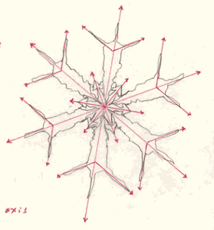 THE WATER­VAPOR FLOW ALONG THE RIB STRUCTURE OF THE SNOWFLAKE