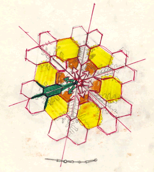 THE RECONSTRUCTED RIB STRUCTURE OF A SNOWFLAKE