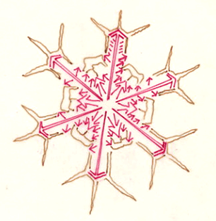 THE SNOWFLAKE'S WATER­FLOW PATHS AS OF THE CENTRIFUGAL FORCE MOVEMENT