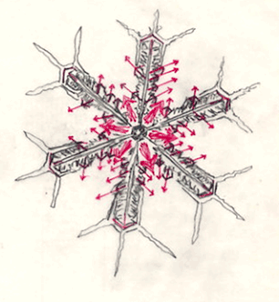 THE SNOWFLAKE'S WATER­FLOW PATHS AS OF THE CENTRIFUGAL FORCE MOVEMENT
